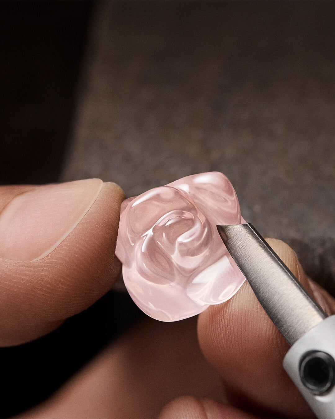 DIOR | 「La Rose Dior (ラ ローズ ディオール)」のストーリー - News