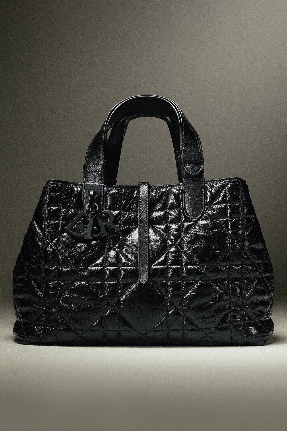 中号 Dior Toujours 手袋 aria_woman_viewcode_e01