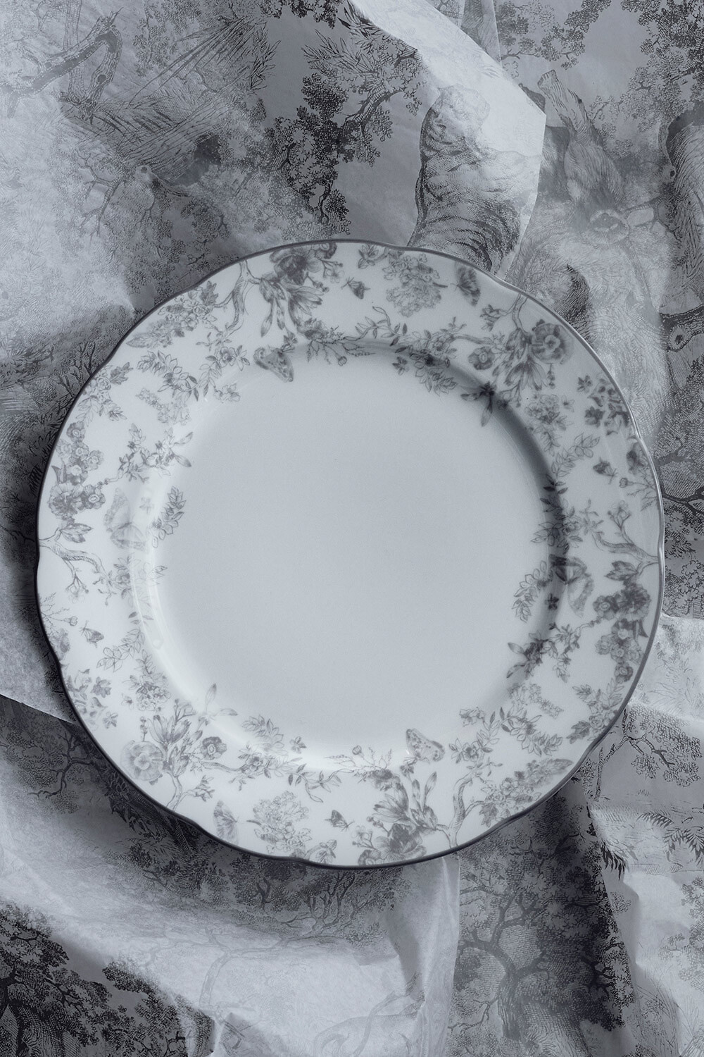 Dinner Plate Gray Toile de Jouy 