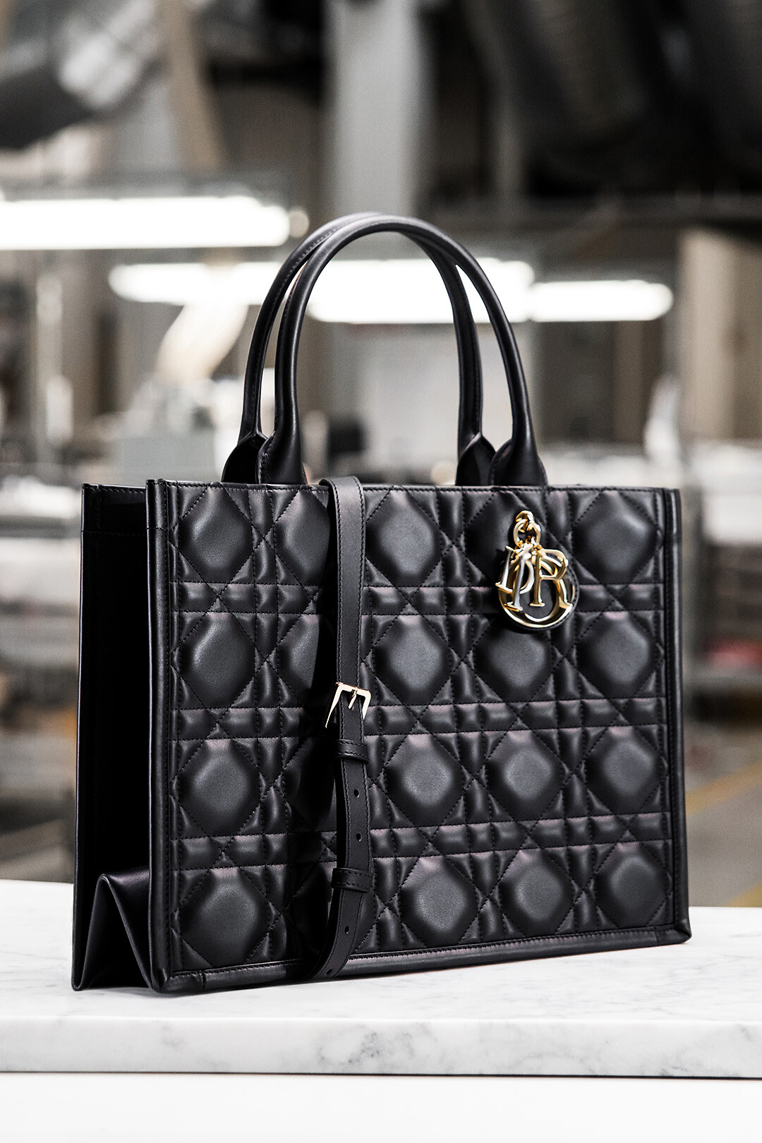 DIOR | Women's Designer Bags