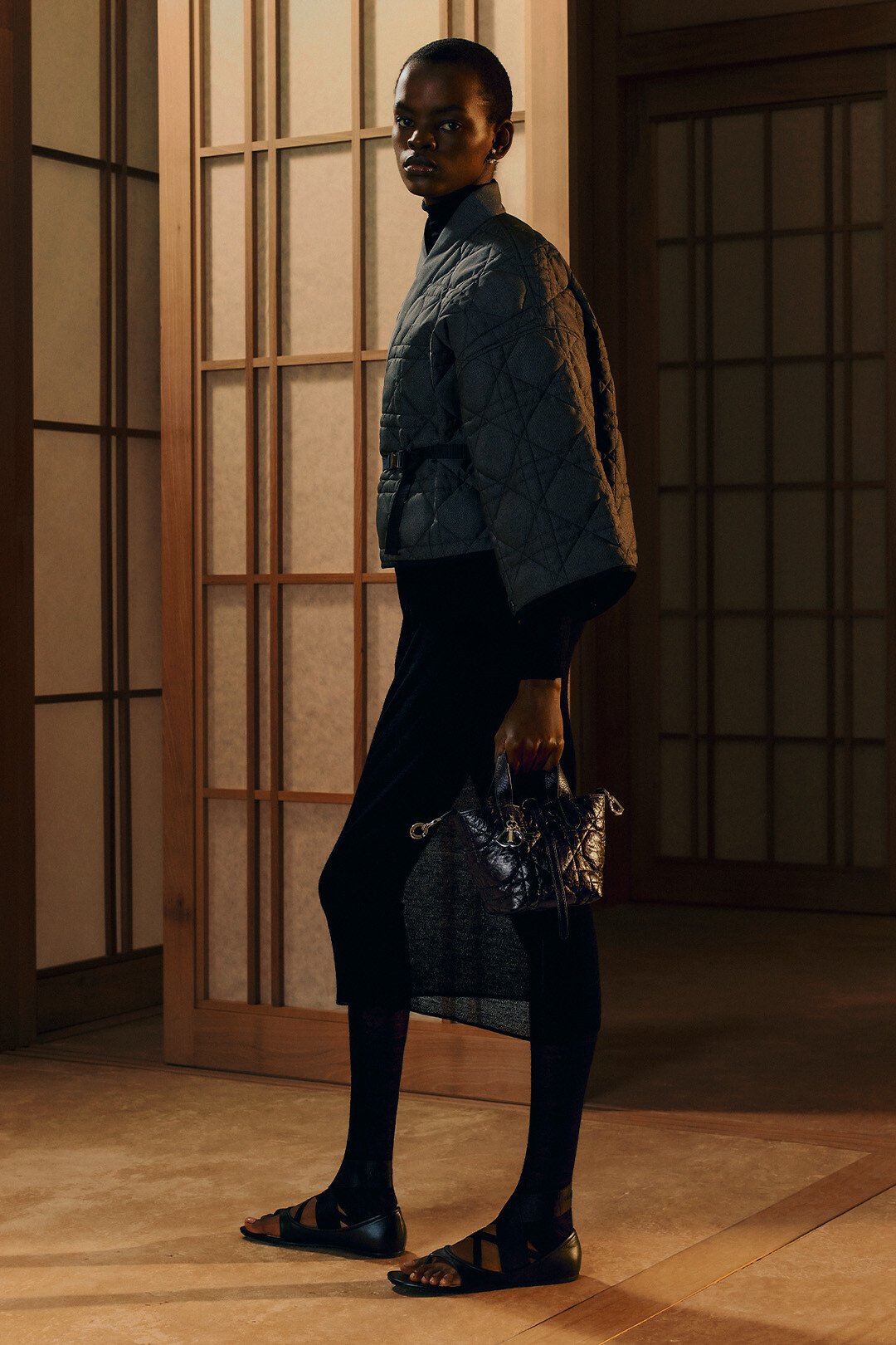 Dior Toujours Vertical Nano Tote Bag aria_woman_viewcode_e01