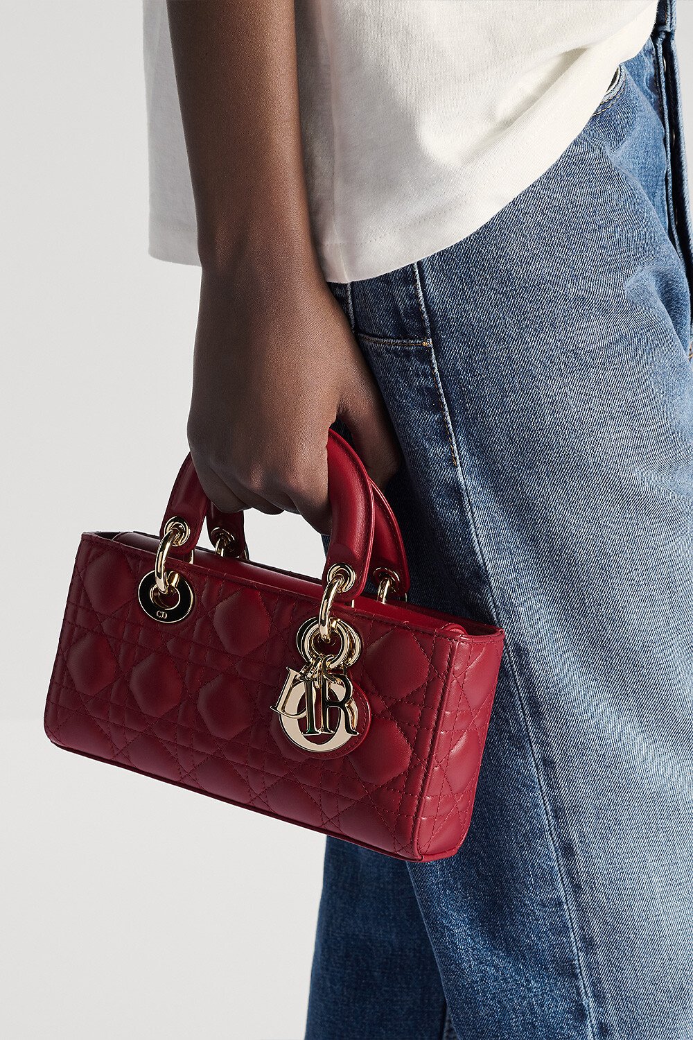 DIOR | レディ D-ジョイ - Bags