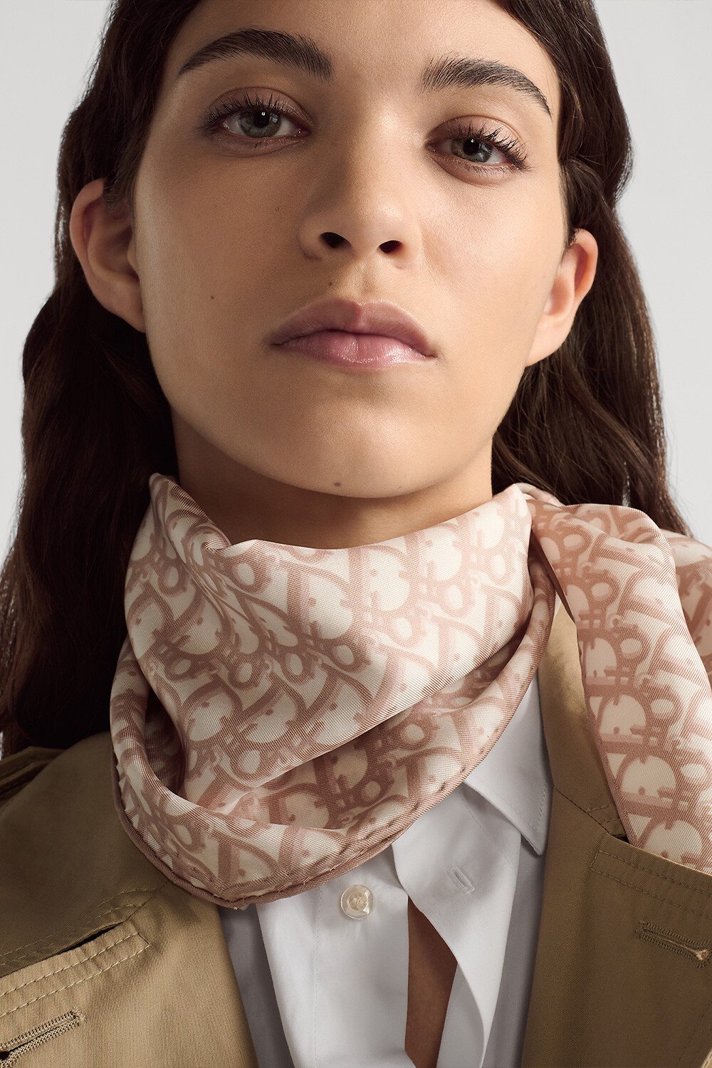 Dior Oblique Dior Diamond Rose des Vents Silk Twill 