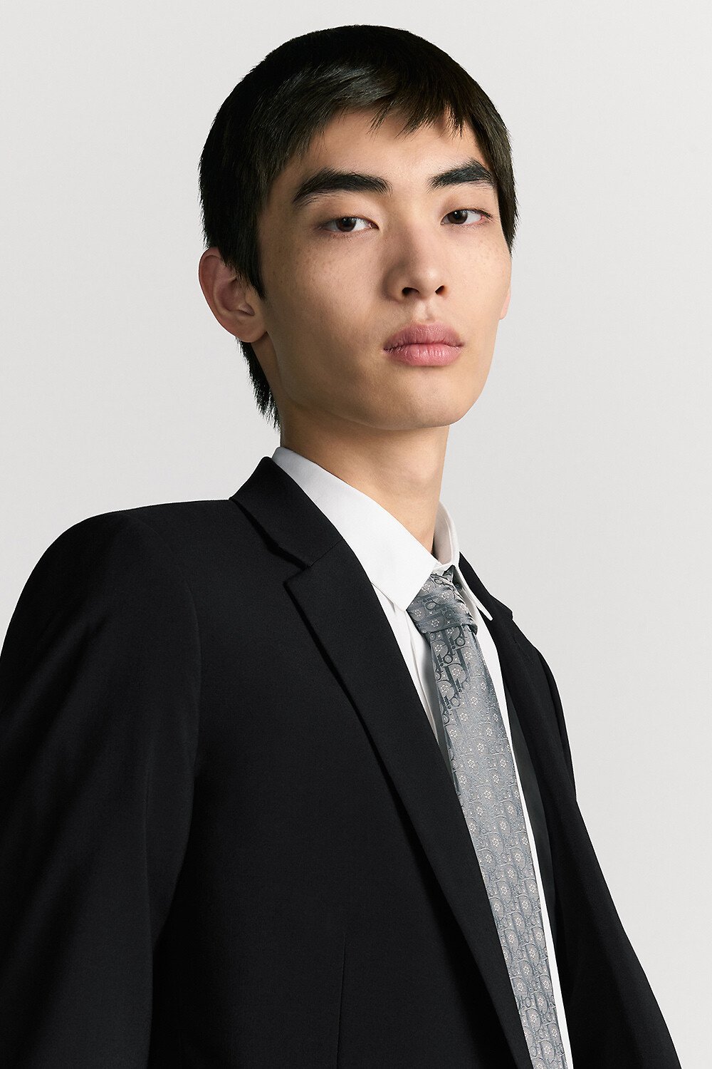 Dior 印花领带 灰色和白色桑蚕丝面料 Oblique Revival 印花 