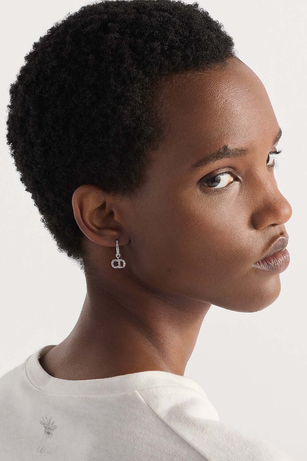 Clair D Lune Earrings Silver-Finish Metal and Silver-Tone Crystals 