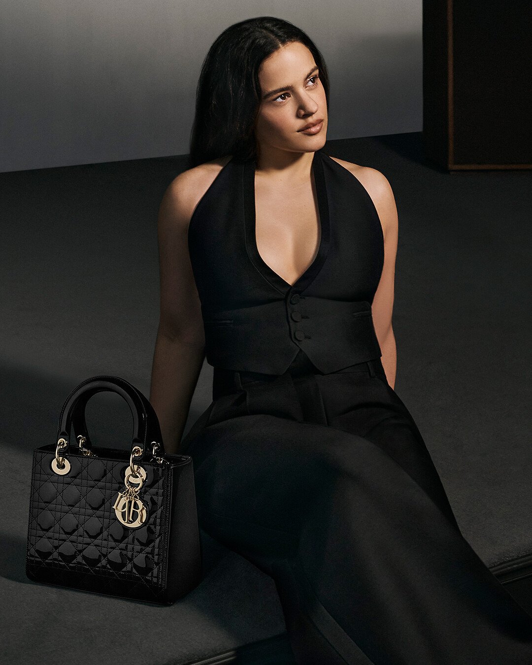 The Iconic Lady Dior bags Fashion Accessories DIOR