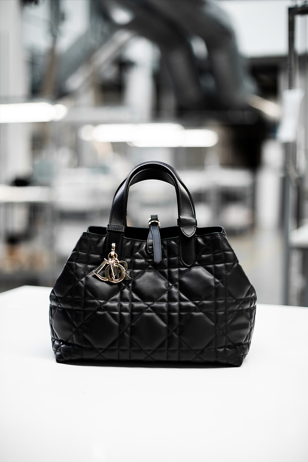 DIOR | トートバッグ |ウィメンズバッグ｜ディオール公式