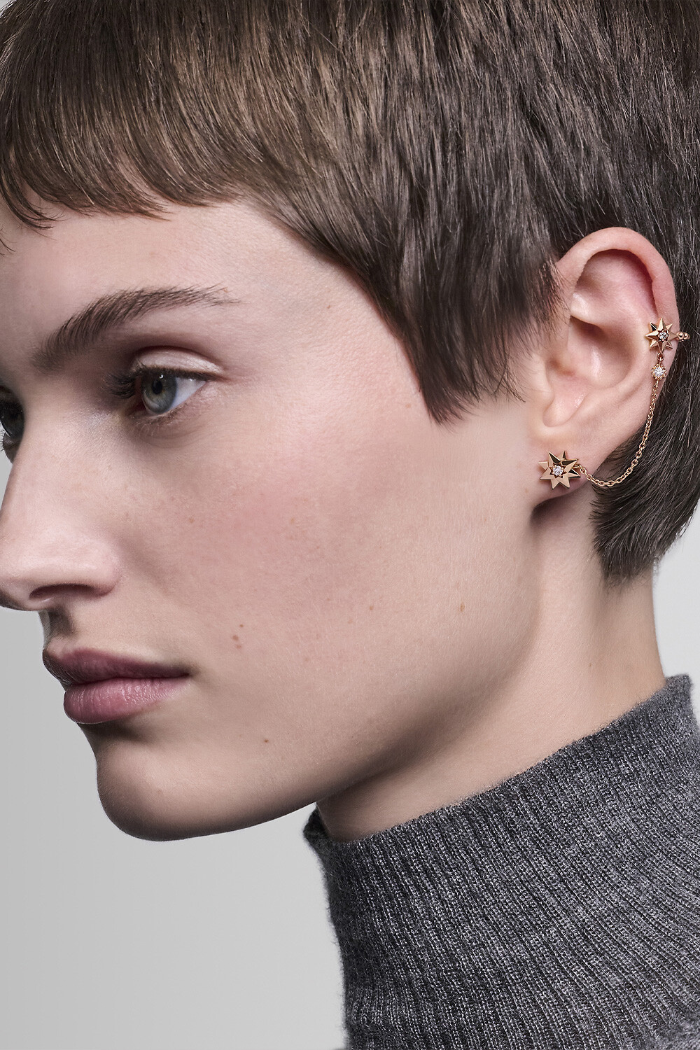 Dior Rose des Vents シングルピアス スモール　ローズデヴァン Dior Rose des Vents シングルピアス スモール ローズデヴァン