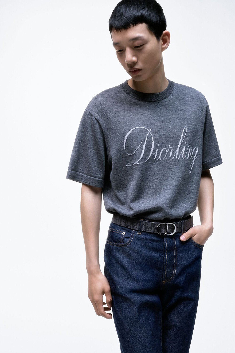 Dior ラメ入りクルーネック Tシャツ ポケット付き　Sサイズ Dior ラメ入りクルーネック Tシャツ ポケット付き Sサイズ DIOR