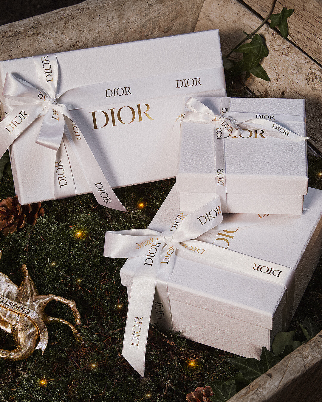 CD Navy Stud Earrings Gold-Finish Metal | DIOR