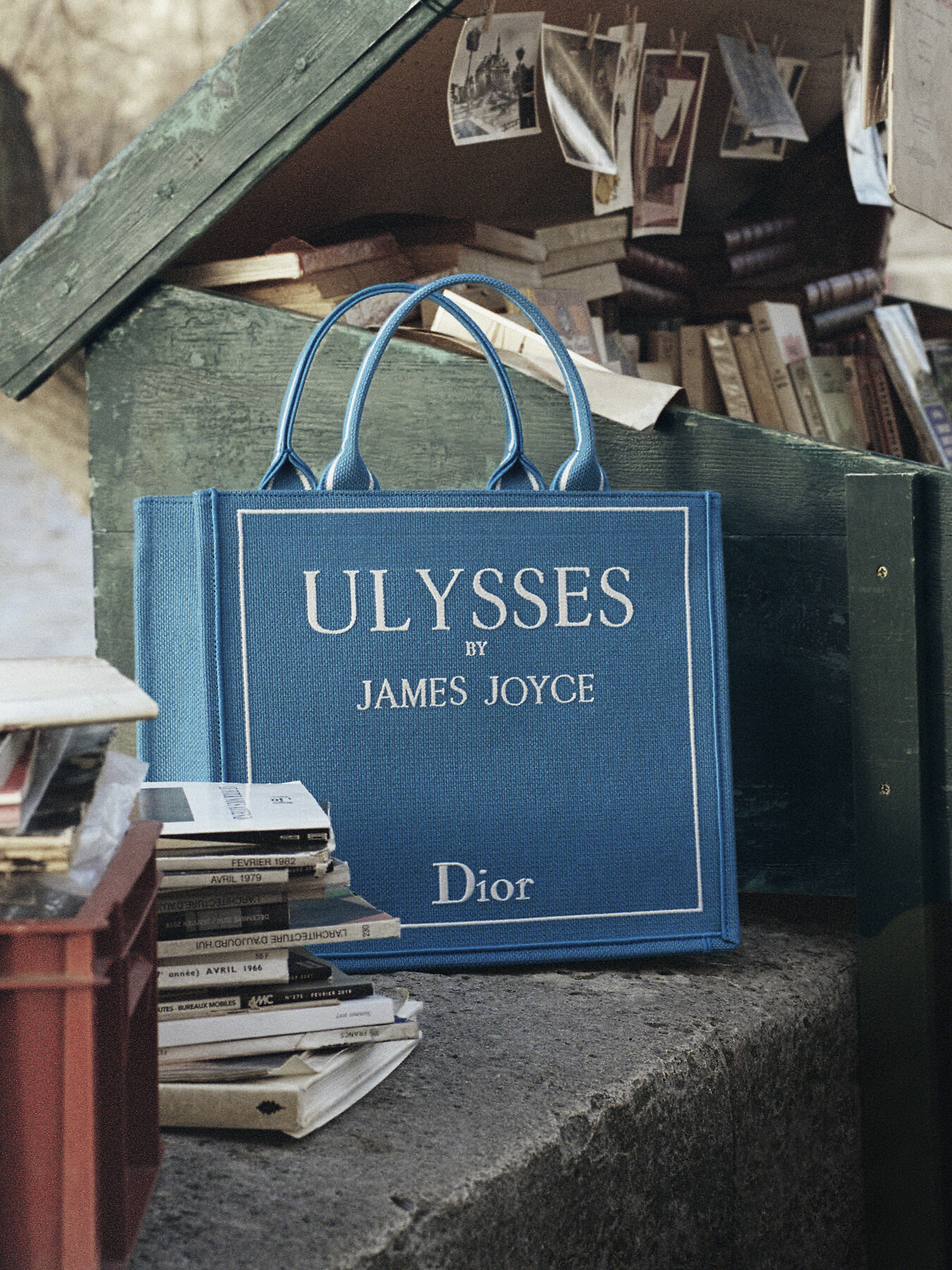 Dior Trianon Bag with Chain Trench Flat Macrocannage Lambskin | DIOR