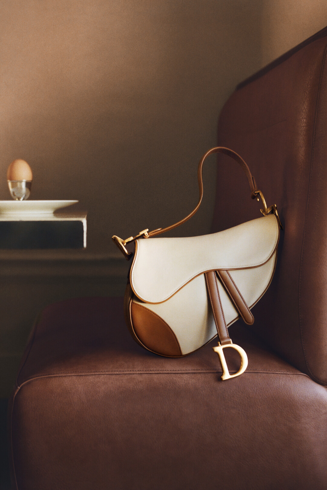 Designer Cross Body Bag For Women | DIOR