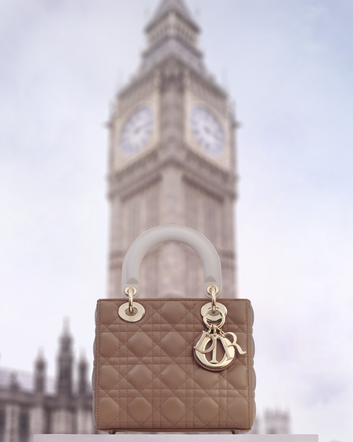 DIOR | レディディオール |ウィメンズレザーグッツ｜ディオール